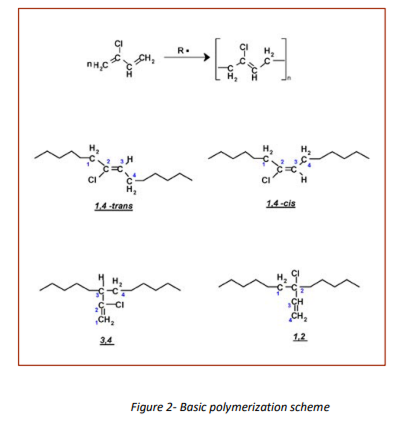 Basic Polymerization Scheme
