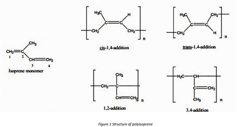 structure of polylsoprene